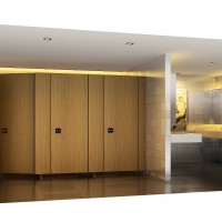 Clubhouse WC  1